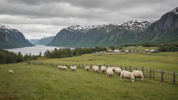 Et bilde av et norsk landskap med sauer i et inngjerdet område utenfor kultivert land.