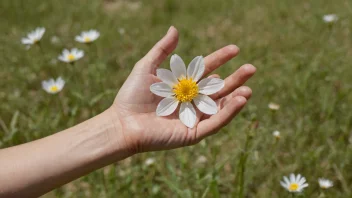 En person holder en skjør blomst, med en beskyttende hånd rundt den, symboliserer bevaring og omsorg.