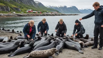 Folk som fanger og håndterer unge seler i Norge