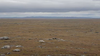 Et tundralandskap med lavvoksende vegetasjon og steinete utspring