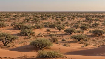 Kalahari-ørkenen, et stort og tørt område i Sør-Afrika, kjent for sin unike landskap, flora og fauna.