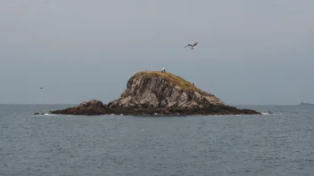 En liten steinøy i havet