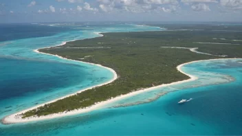 En vakker strand på Bahamas med palmer og et klart blått hav.