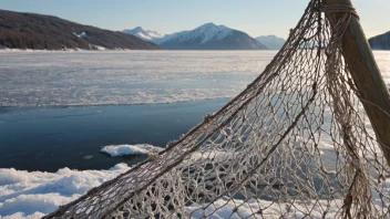 Et frossent fiskegarn, med et vakkert vinterlandskap i bakgrunnen.