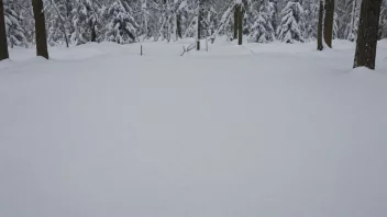 Et bilde av en tett, sammenpakket masse av snø, med trær eller andre objekter delvis begravet i den.