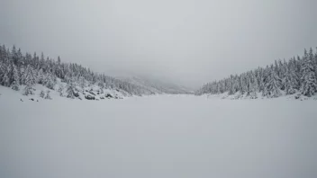 Et uskarpt bilde med udefinerte kanter, som representerer konseptet uskjellet.