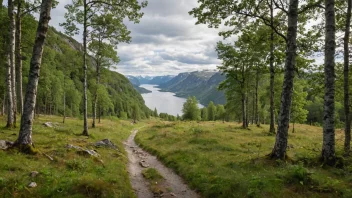 Et vakkert landskap av et norsk allemannseie, med fjell, skog og en innsjø i bakgrunnen.