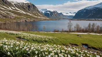 Et fredelig landskap med en blanding av vinter- og vår-elementer, som symboliserer overgangen mellom årstidene.