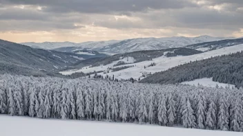 Et fredelig snødekt landskap med trær og åser