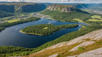 Et foto av Liertoppen, en høyde i Lier kommune, med en naturskjønn utsikt over det omkringliggende landskapet.