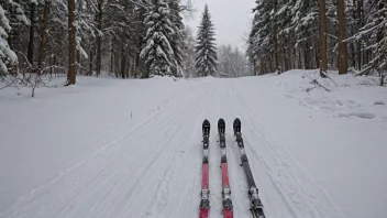 Et par langrennsski med bindinger og staver, på en snødekt løype med trær i bakgrunnen.