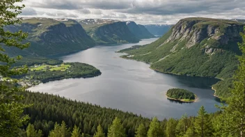 Et pittoreskt skogområde i Norge.