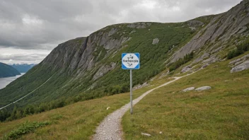 Et idyllisk landskap av en bakke eller skråning i Norge, med navnet 'Bakkevigs' vist på en skilt eller markør