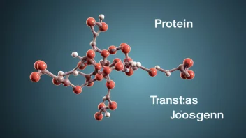 Et bilde av et proteinmolekyl som representerer transplantasjonsantigen.