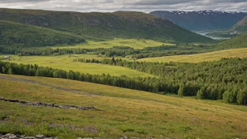 Et fredelig landskap med en lai i forgrunnen, omgitt av åser og trær.