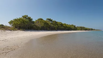 Et fredelig landskap av en sandstrand med noen trær og en klar blå himmel