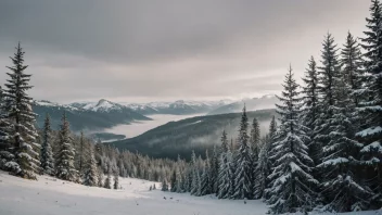 En storslagen utsikt over en norsk skog med gran- og furutrær, omgitt av snødekte fjell og en mystisk tåke.