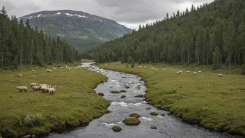 Et idyllisk landskap av en norsk utmark med skog og bekk.