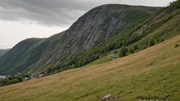 En liten skråning eller bratt bakke i et norsk landskap med trær og steiner