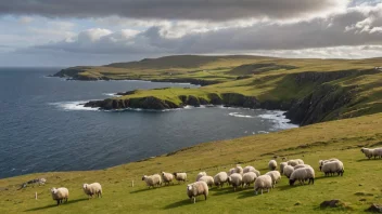 Et malerisk landskap av Shetland-øyene