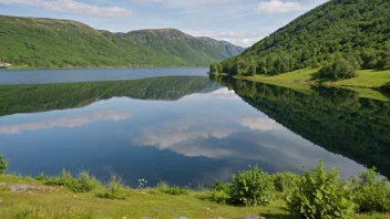 En fredelig innsjø i Innlandet fylke.