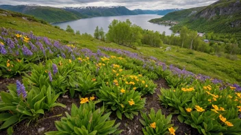 Et fredelig og levende bilde av et norsk vårlandskap.