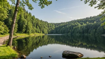 Et vakkert landskap av Sørkedalen i Oslo, som viser dets naturskjønnhet og friluftsliv.