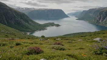 Et bevaringsområde i Norge, som viser landets naturlige skjønnhet og mangfold.