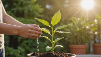 En person vanner en liten plante, symboliserer vekst og utvikling