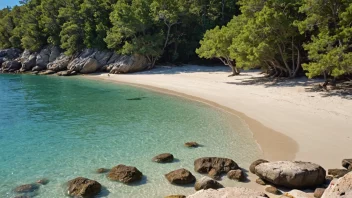 En vakker strand med rolige vann og en fredelig atmosfære.