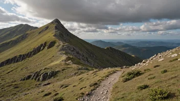 Et bilde av en hardbakke, en type ås eller fjell i Norge.