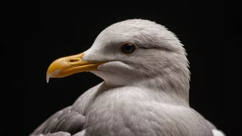 Et nærbilde av seilergull, et glitrende, gull-lignende mineral.