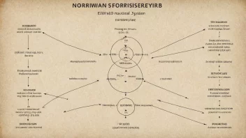 Et bilde av et norsk klassifiseringssystem med fokus på førstesekser.