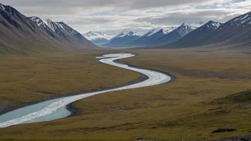 En malerisk dal på Svalbard med en rolig atmosfære.