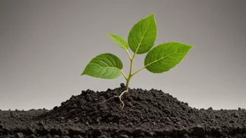 En voksende plante med et sterkt fundament, som representerer et vekstgrunnlag.