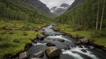 Et Skoganvarre-landskap med en rolig innsjø, omgitt av tett skog og majestetiske fjell i bakgrunnen.