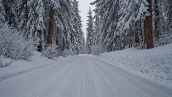 Et bilde som viser forskjellige snøforhold i et vinterlandskap.