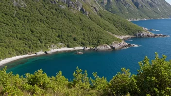 Et kystområde i Norge med små trær og busker.