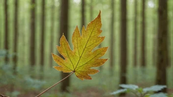 Et vakkert grønnbrunt blad med en naturlig, jordlig tone.