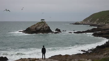 En person som står på en steinete kyst, med en liten øy i bakgrunnen.