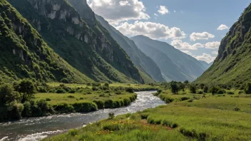 En malerisk dal med en svingende elv og bratte klipper, omgitt av frodig grønnskap og fargerike ville blomster.