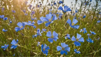 En linnet med blå blomster og en solrik bakgrunn