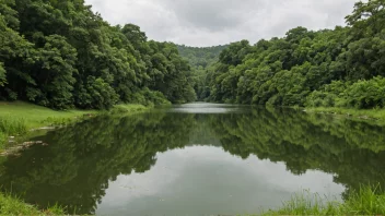 En fredelig innsjø med en liten dam, omgitt av natur.