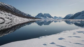 Et fredelig vinterlandskap med fokus på is og snø