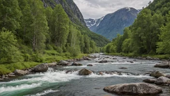 En vakker elv i Norge med et variert biologisk mangfold og vakre naturområder.