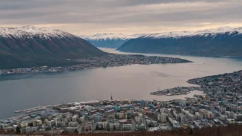 panoramabilde av Narvik by med fjorder og fjell i bakgrunnen