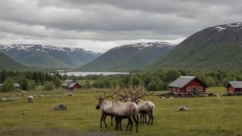 Et sameområde i Norge, som viser den tradisjonelle levemåten til samene.