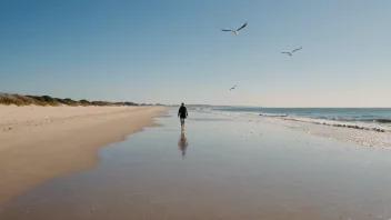 En fredelig strandscene med en person som går langs stranden.