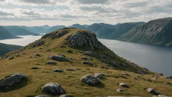 En liten, steinete ås eller haug i et norsk landskap