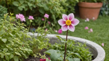 En blomsterpinne som holder en blomst i en hage eller potte.